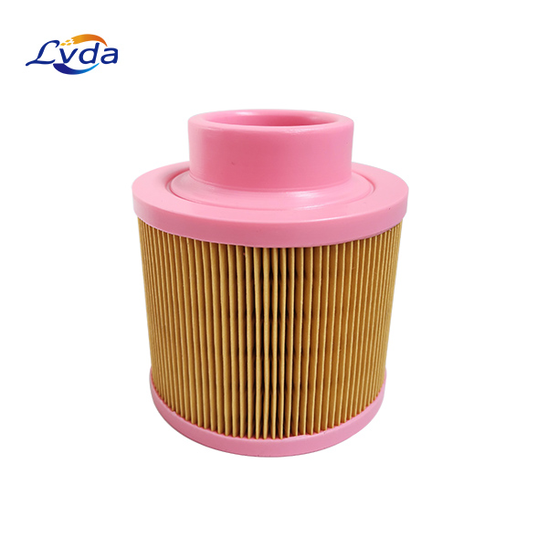 C17100 Air Filter