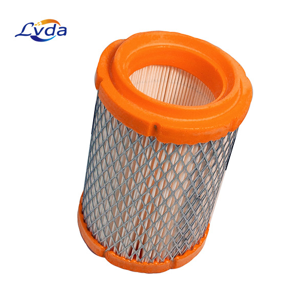243003724P Air Filter Element